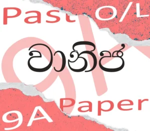 commerce past paper