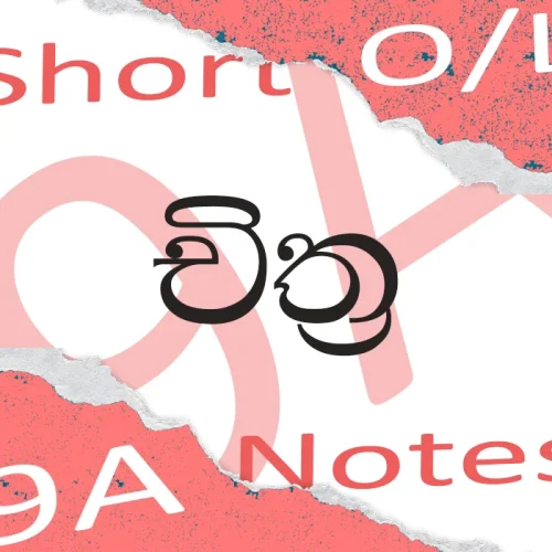 Art Short Notes