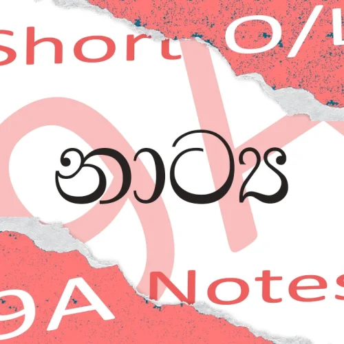 Drama Short Note